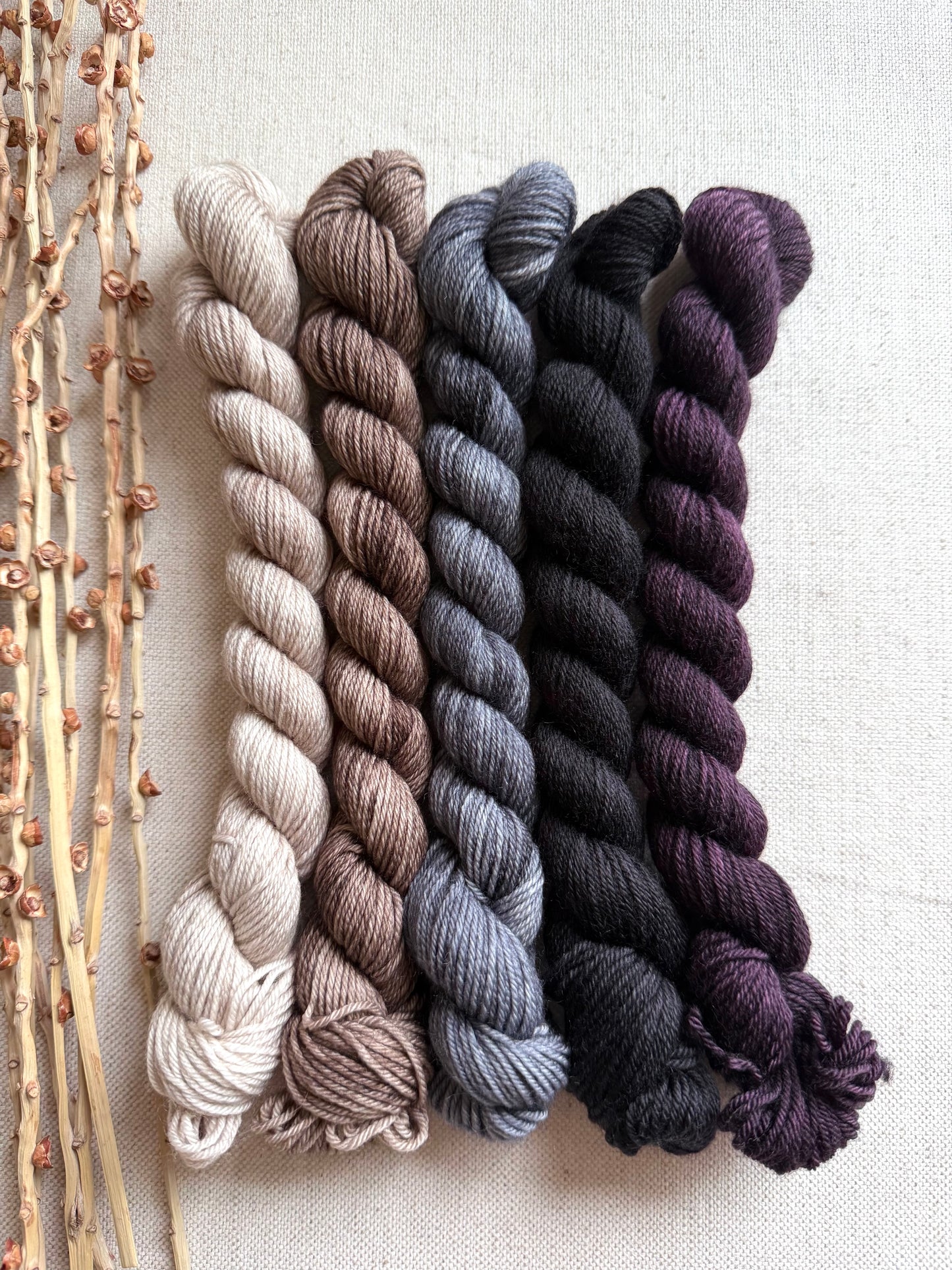 Smokey - SW Merino Nylon Mini Skein Set