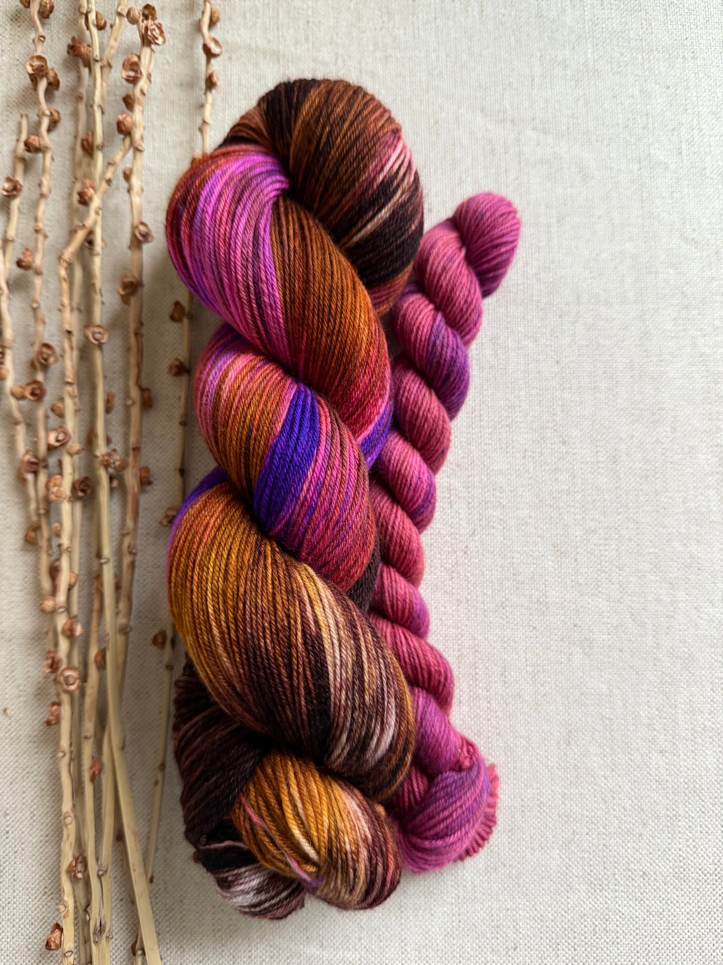 Saucey Sally Sock Set