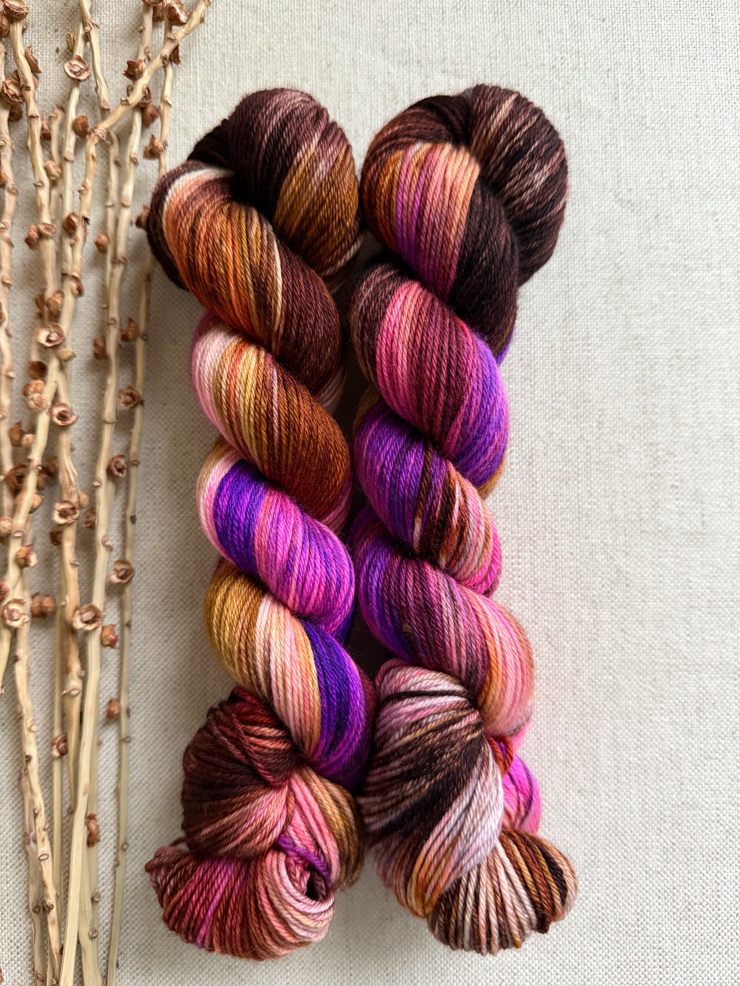 Saucey Sally SW Merino Nylon 50g Skein