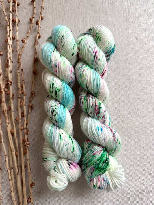 Winterberries SW Merino Nylon 50g Skein