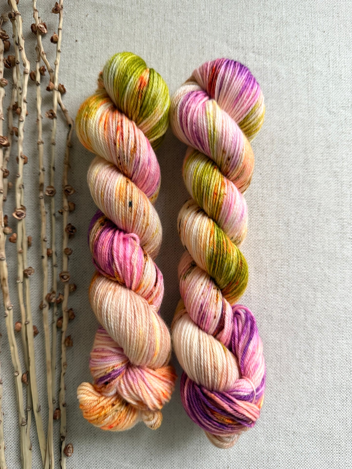 The Lollipop Guild SW Merino Nylon 50g Skein