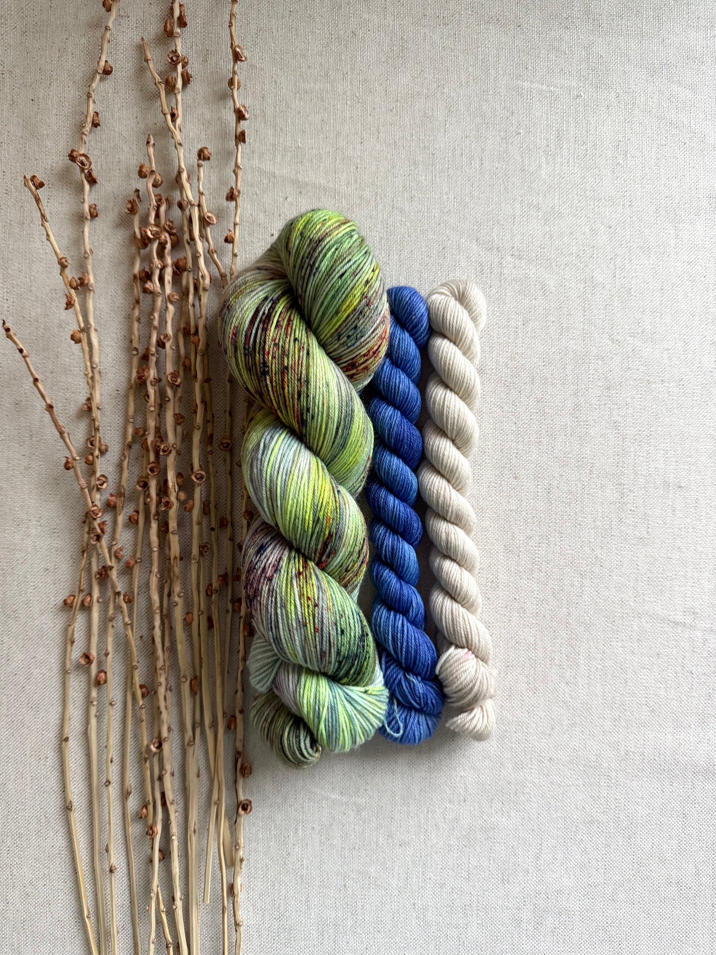 Crazy Caterpillar Sock Set