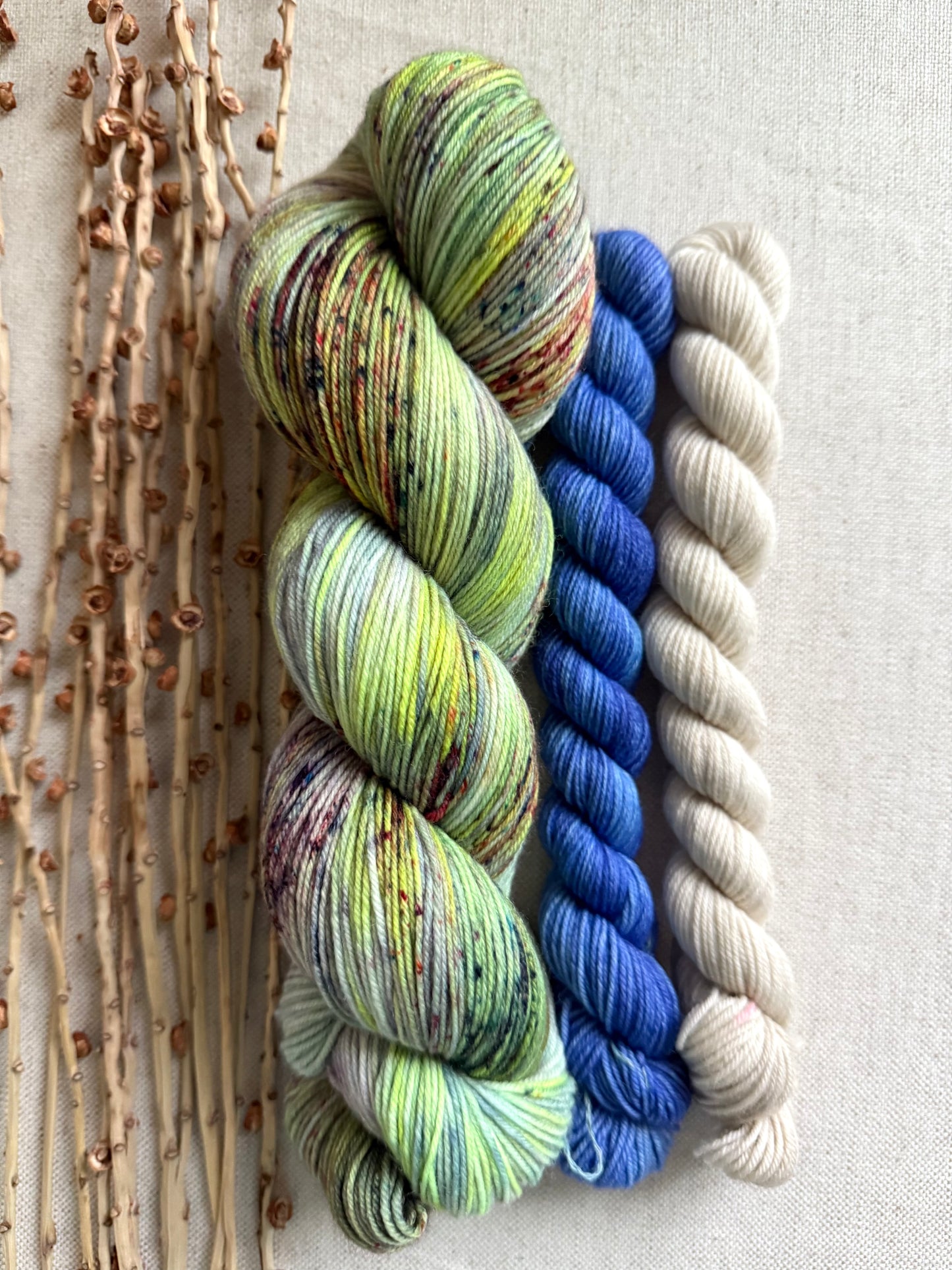 Crazy Caterpillar Sock Set