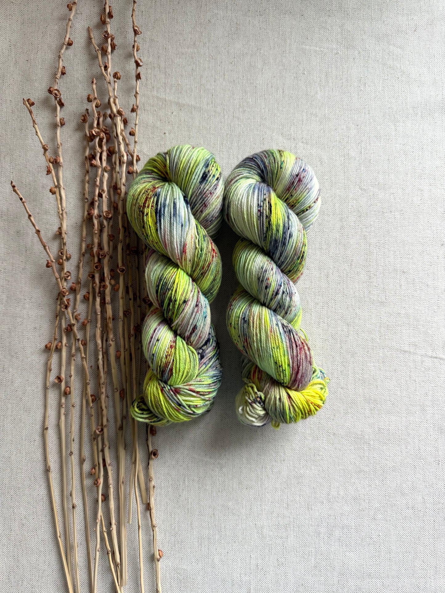 Crazy Caterpillar SW Merino Nylon Yarn