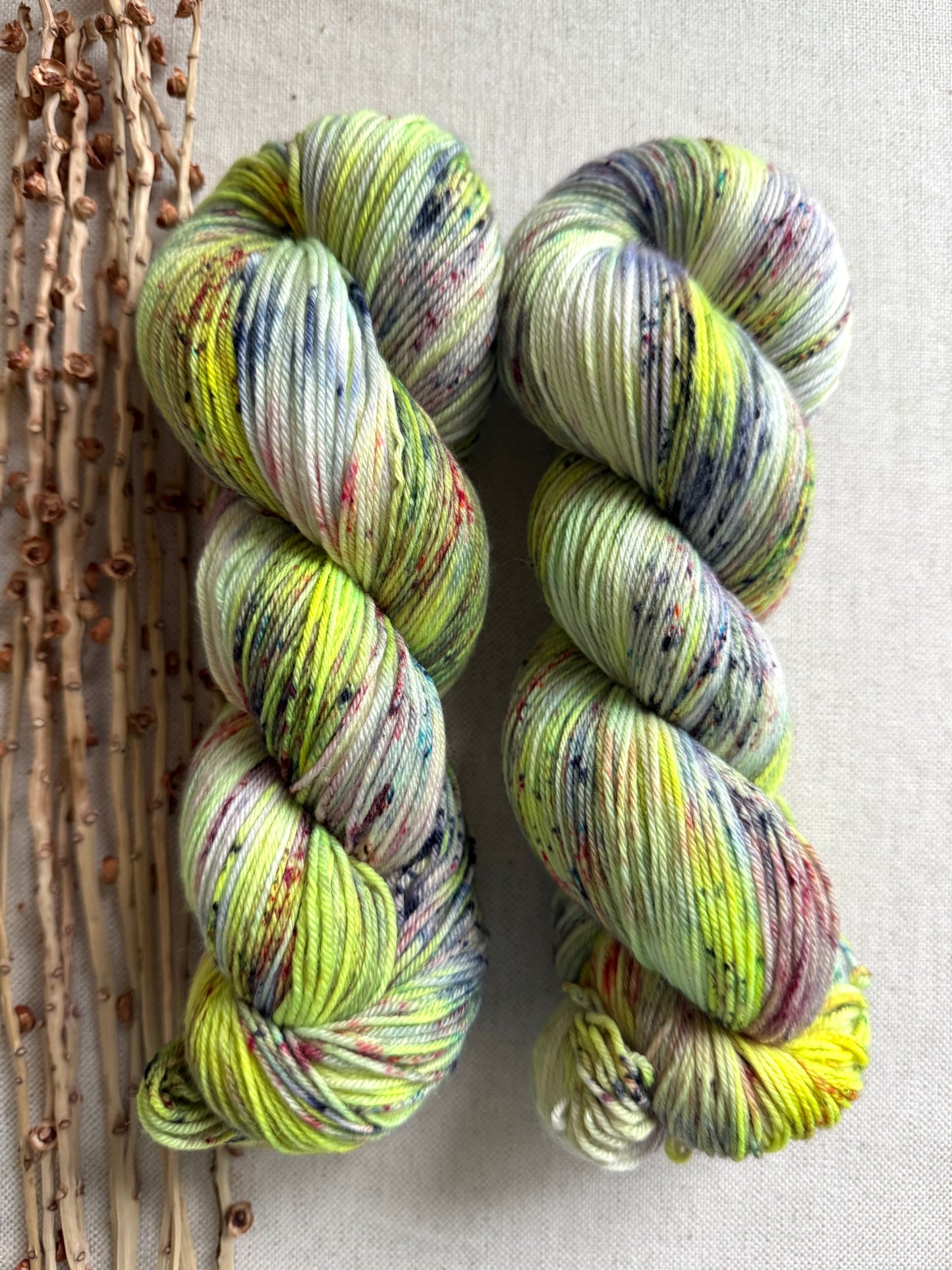 Crazy Caterpillar SW Merino Nylon Yarn