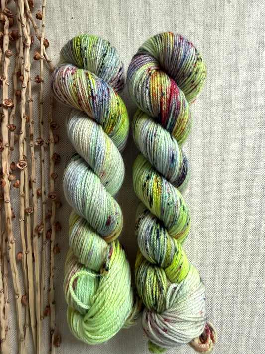 Crazy Caterpillar SW Merino Nylon 50g Skein