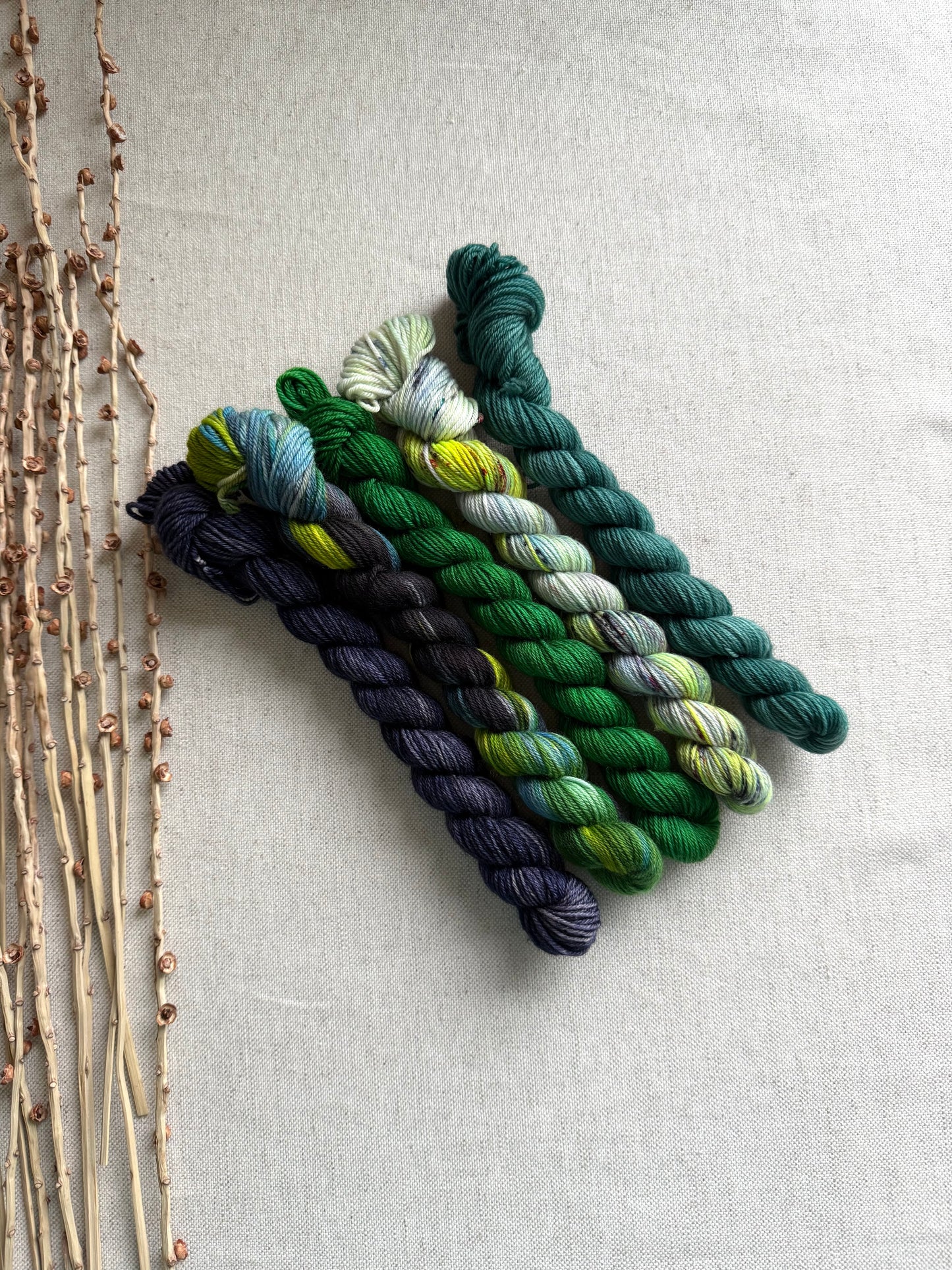 Crazy Caterpillar - SW Merino Nylon Mini Skein Set