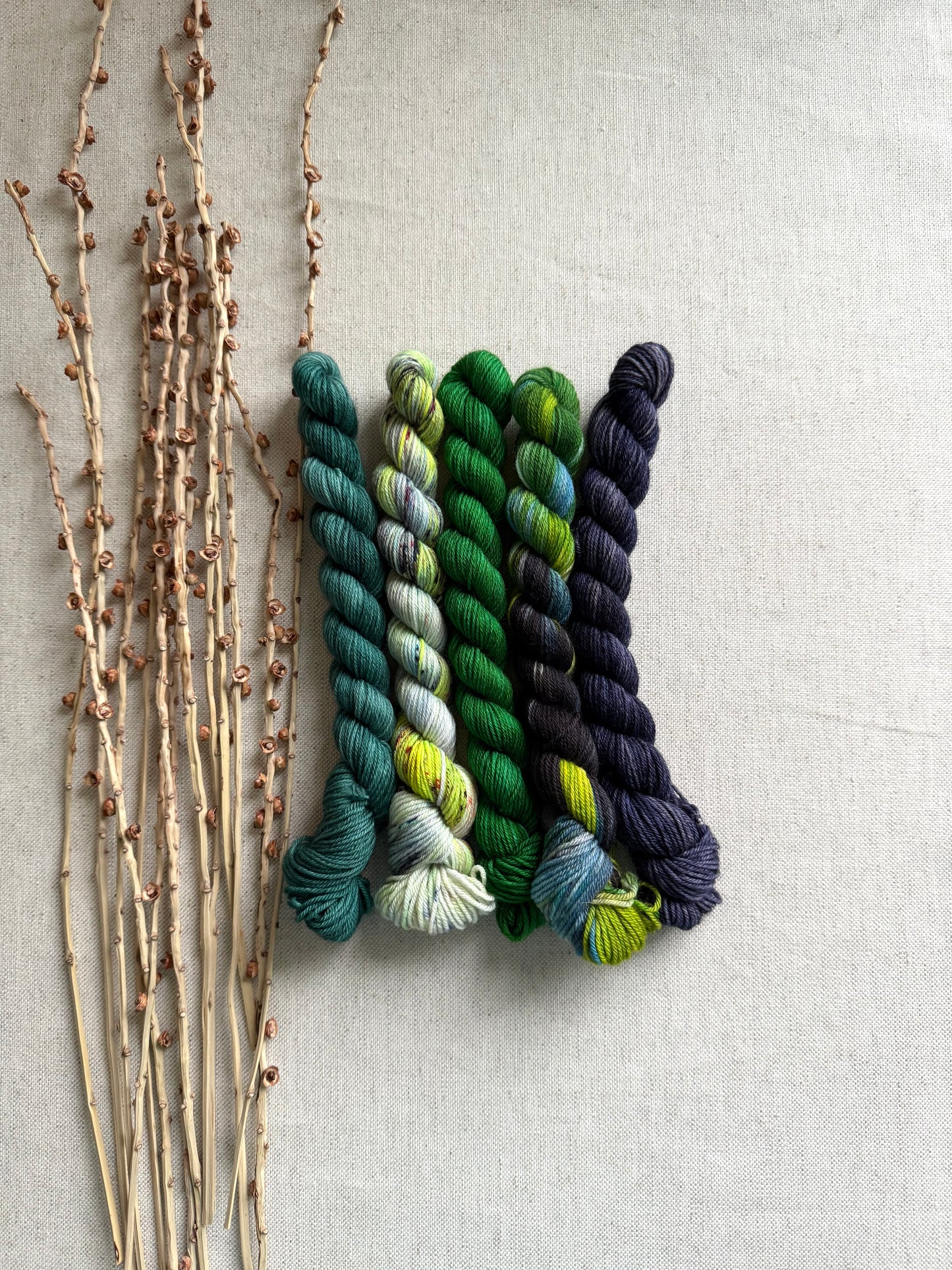Crazy Caterpillar - SW Merino Nylon Mini Skein Set