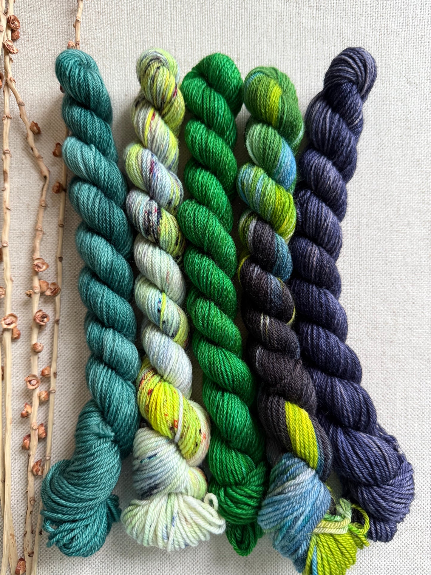 Crazy Caterpillar - SW Merino Nylon Mini Skein Set