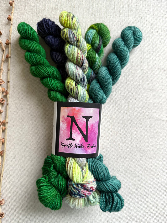 Crazy Caterpillar - SW Merino Nylon Mini Skein Set