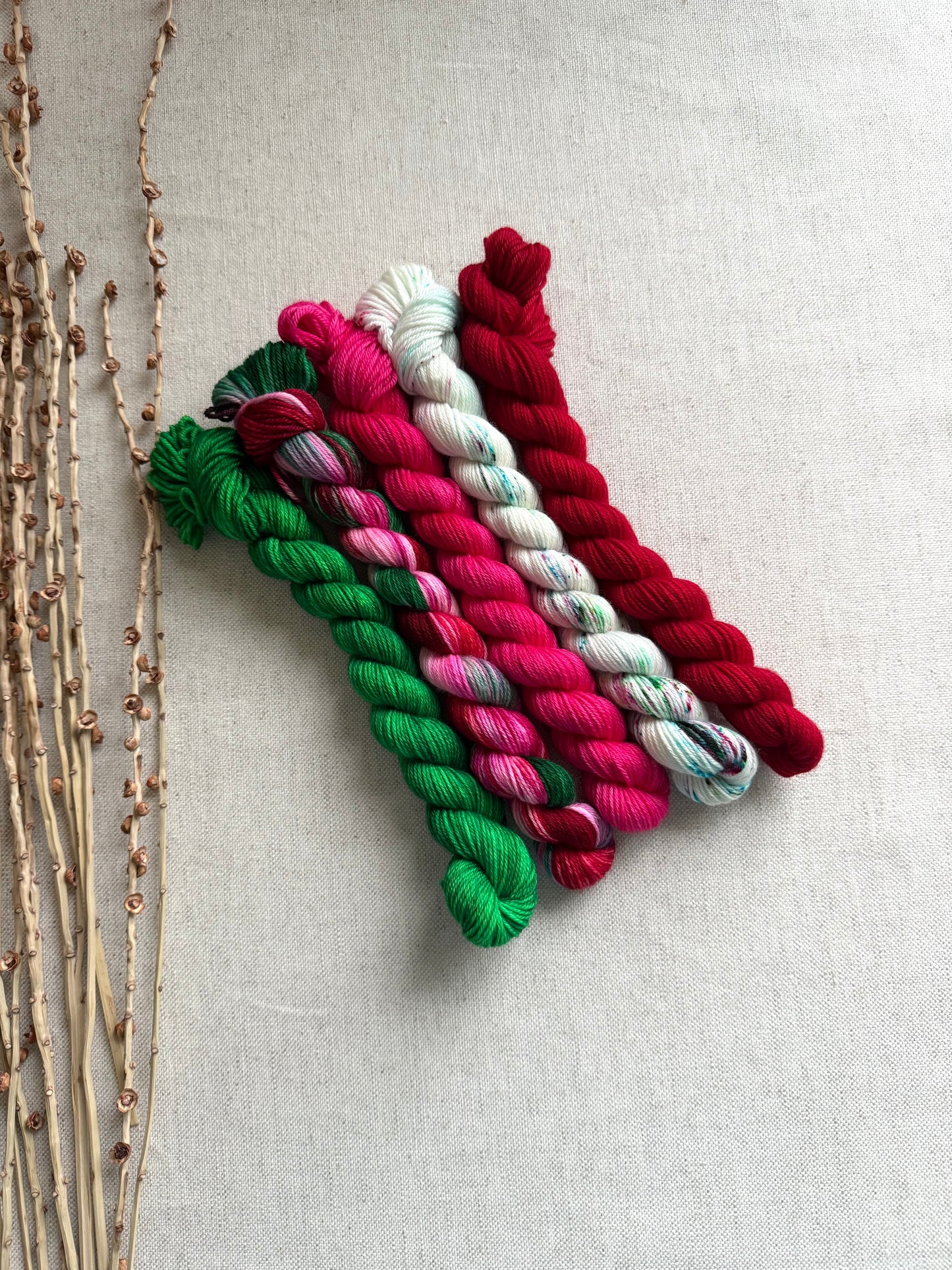 Winterberry - SW Merino Nylon Mini Skein Set