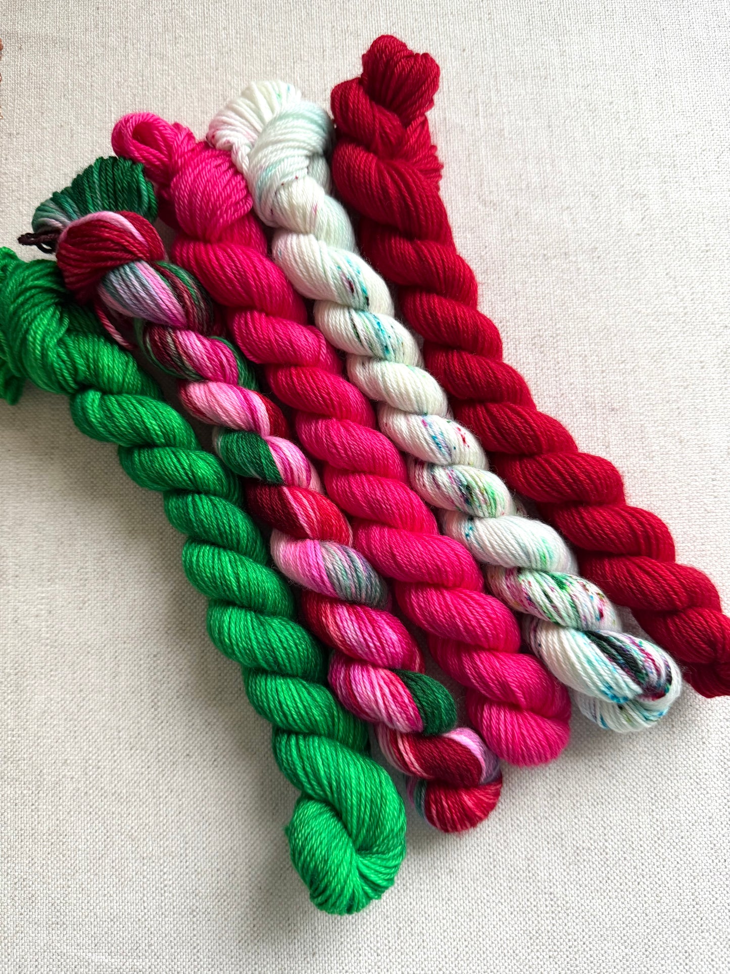 Winterberry - SW Merino Nylon Mini Skein Set