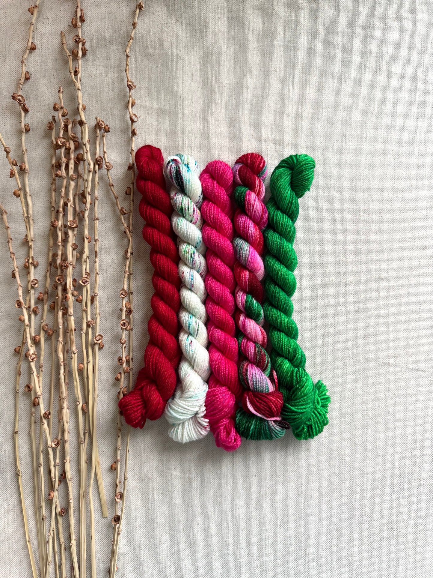Winterberry - SW Merino Nylon Mini Skein Set