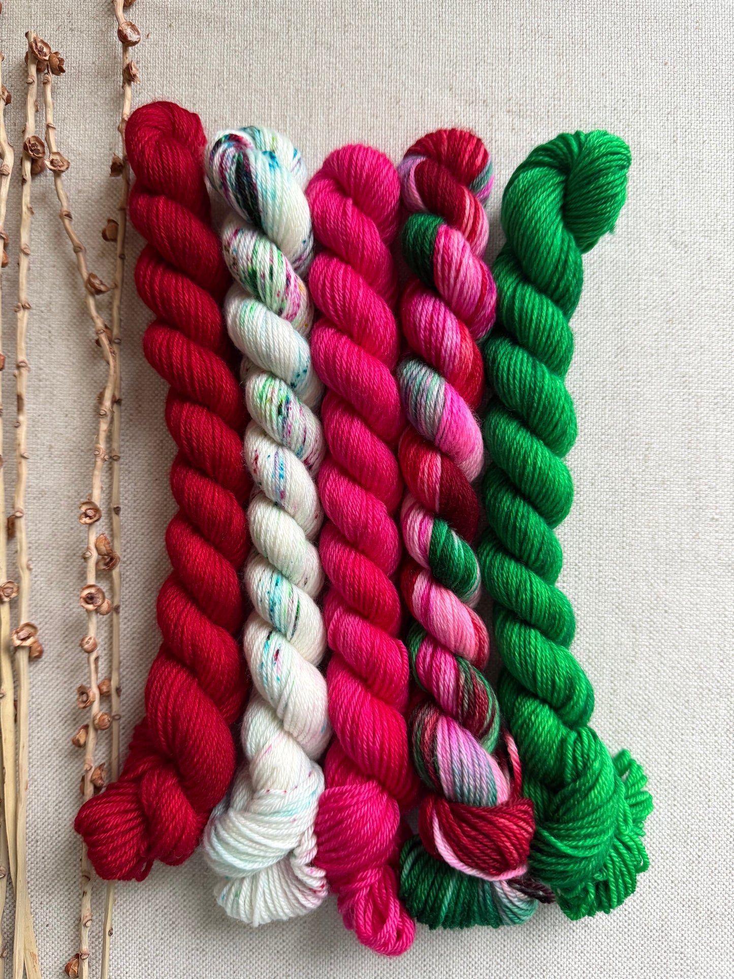 Winterberry - SW Merino Nylon Mini Skein Set