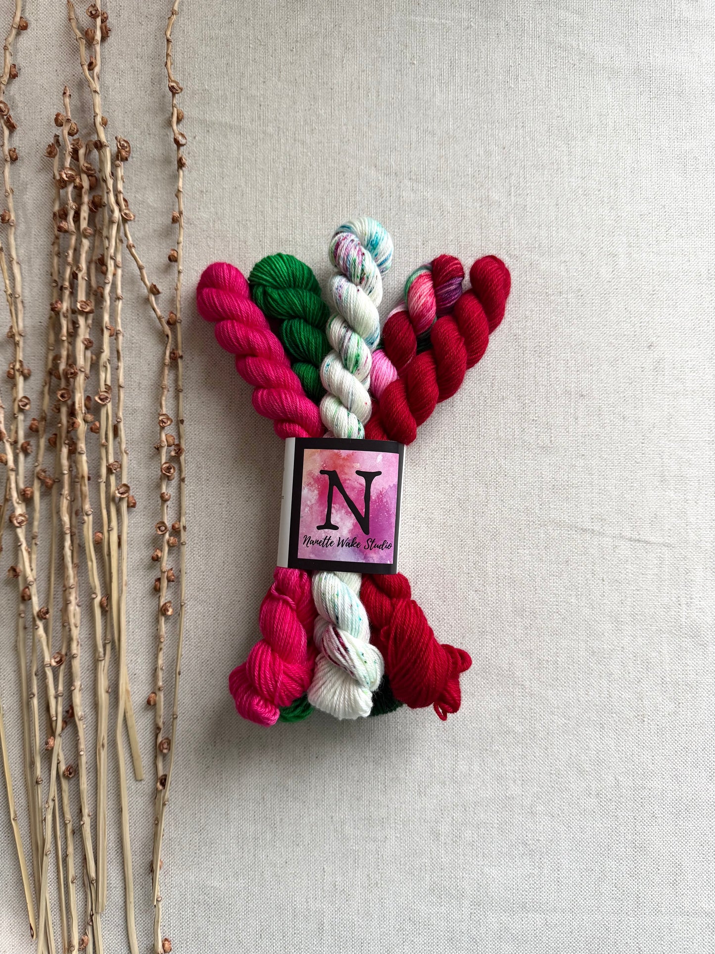 Winterberry - SW Merino Nylon Mini Skein Set