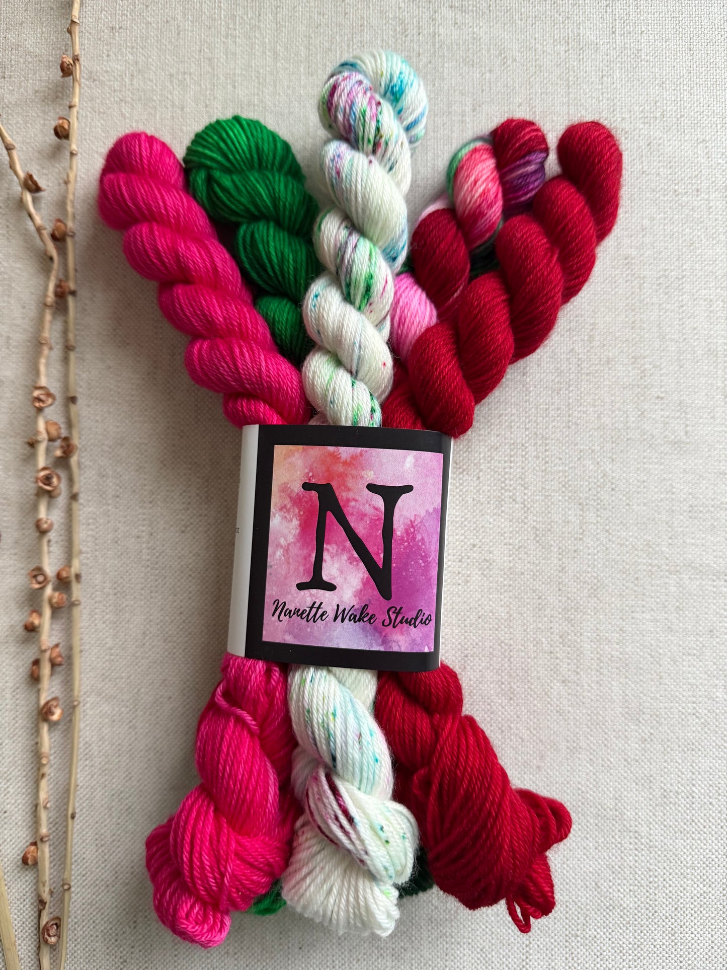 Winterberry - SW Merino Nylon Mini Skein Set