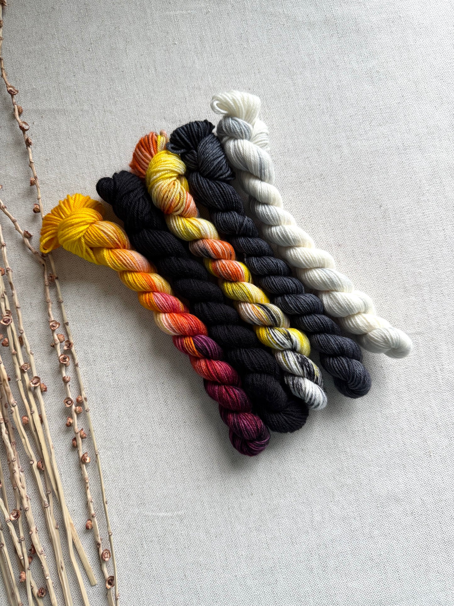 Master Gobbler - SW Merino Nylon Mini Skein Set