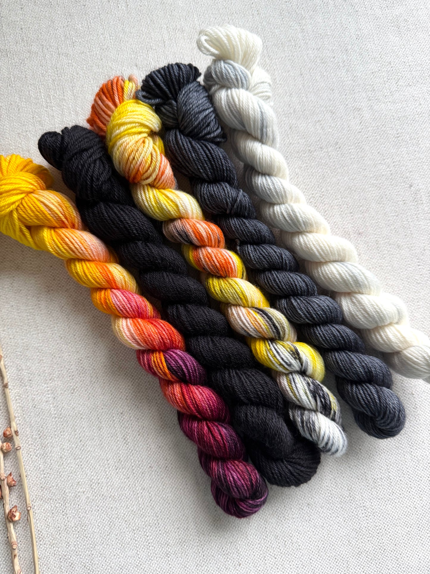 Master Gobbler - SW Merino Nylon Mini Skein Set