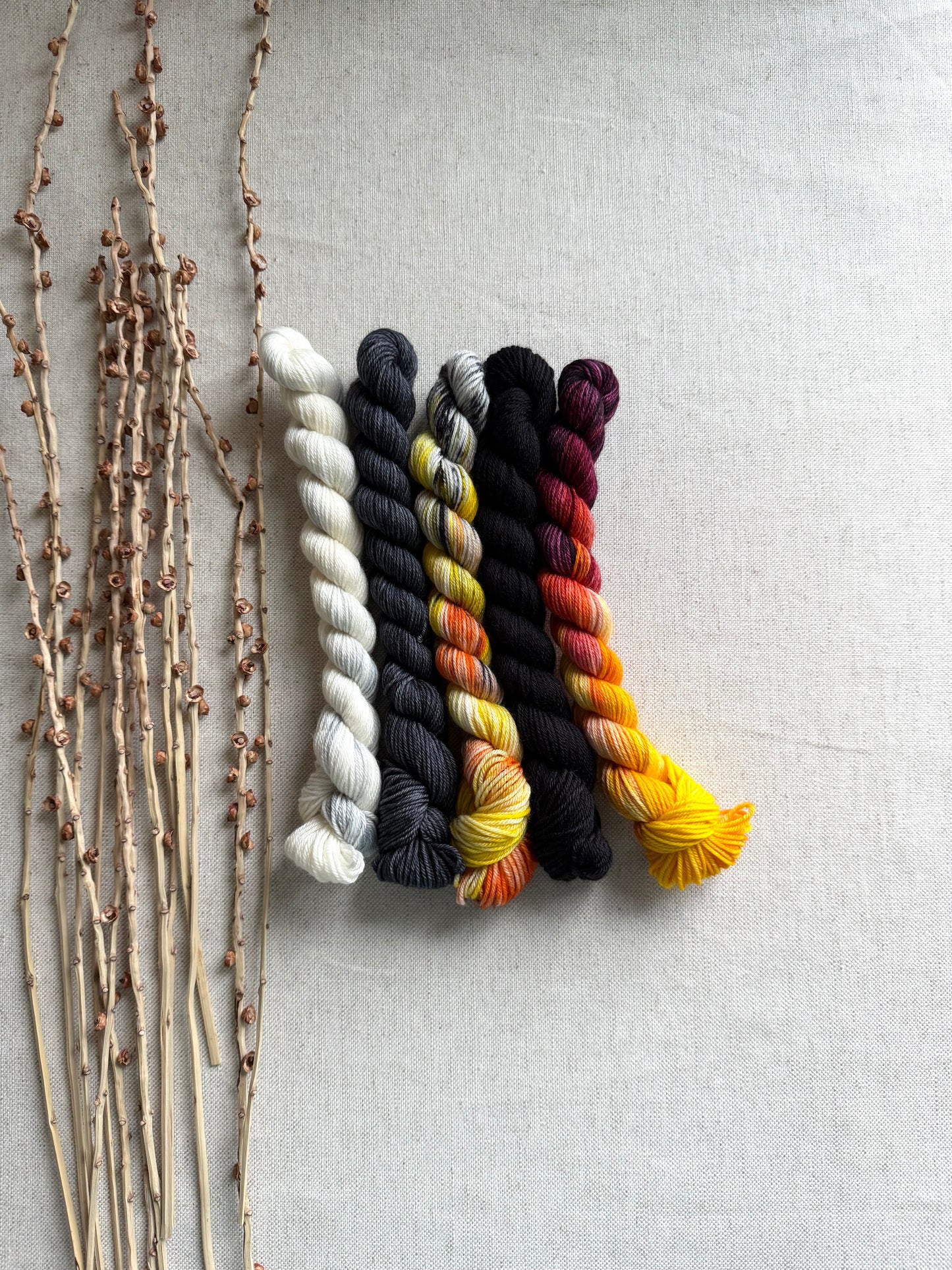 Master Gobbler - SW Merino Nylon Mini Skein Set