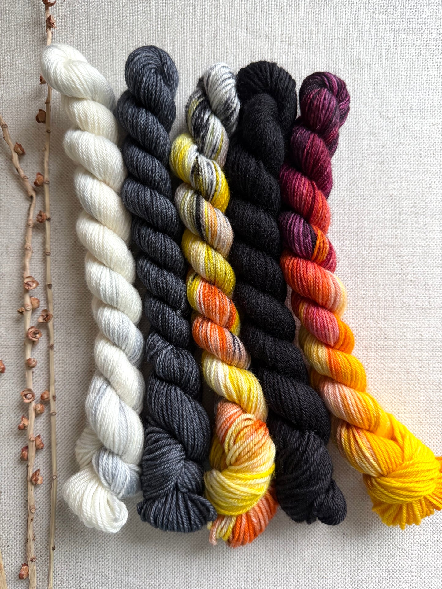 Master Gobbler - SW Merino Nylon Mini Skein Set