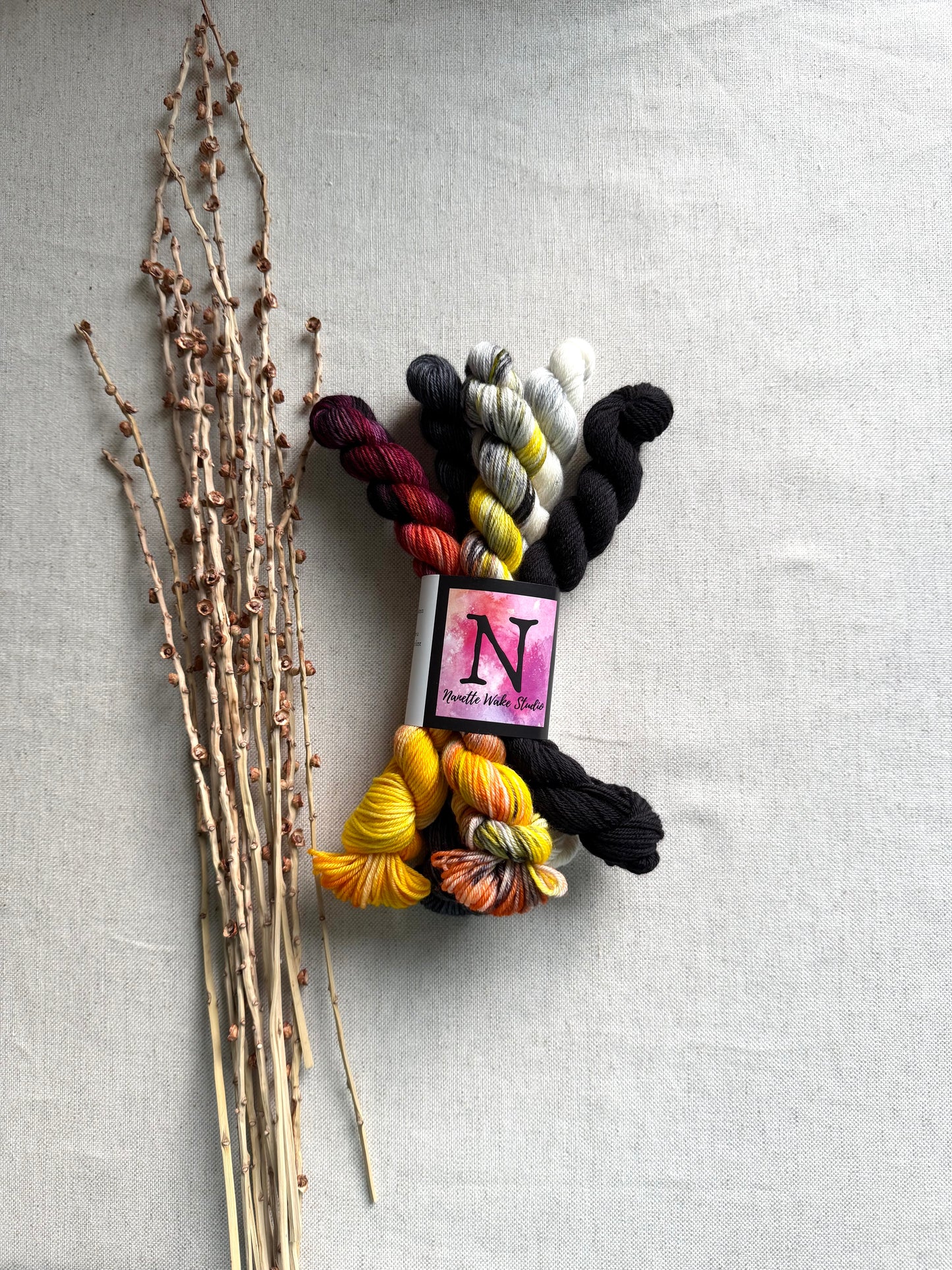 Master Gobbler - SW Merino Nylon Mini Skein Set