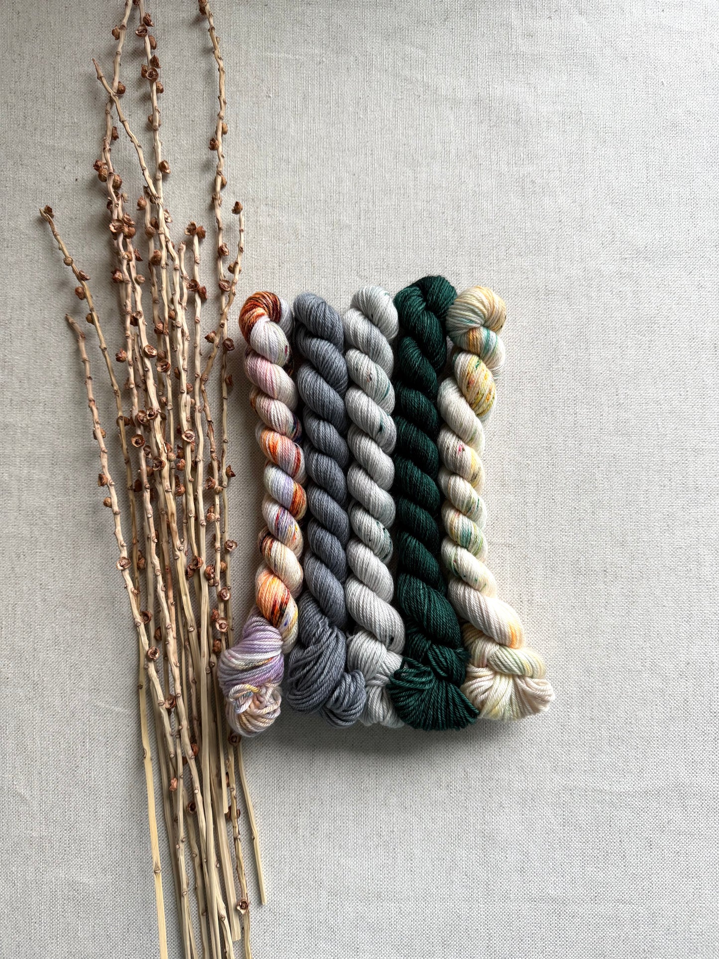 The Evergreen State  - SW Merino Nylon Mini Skein Set