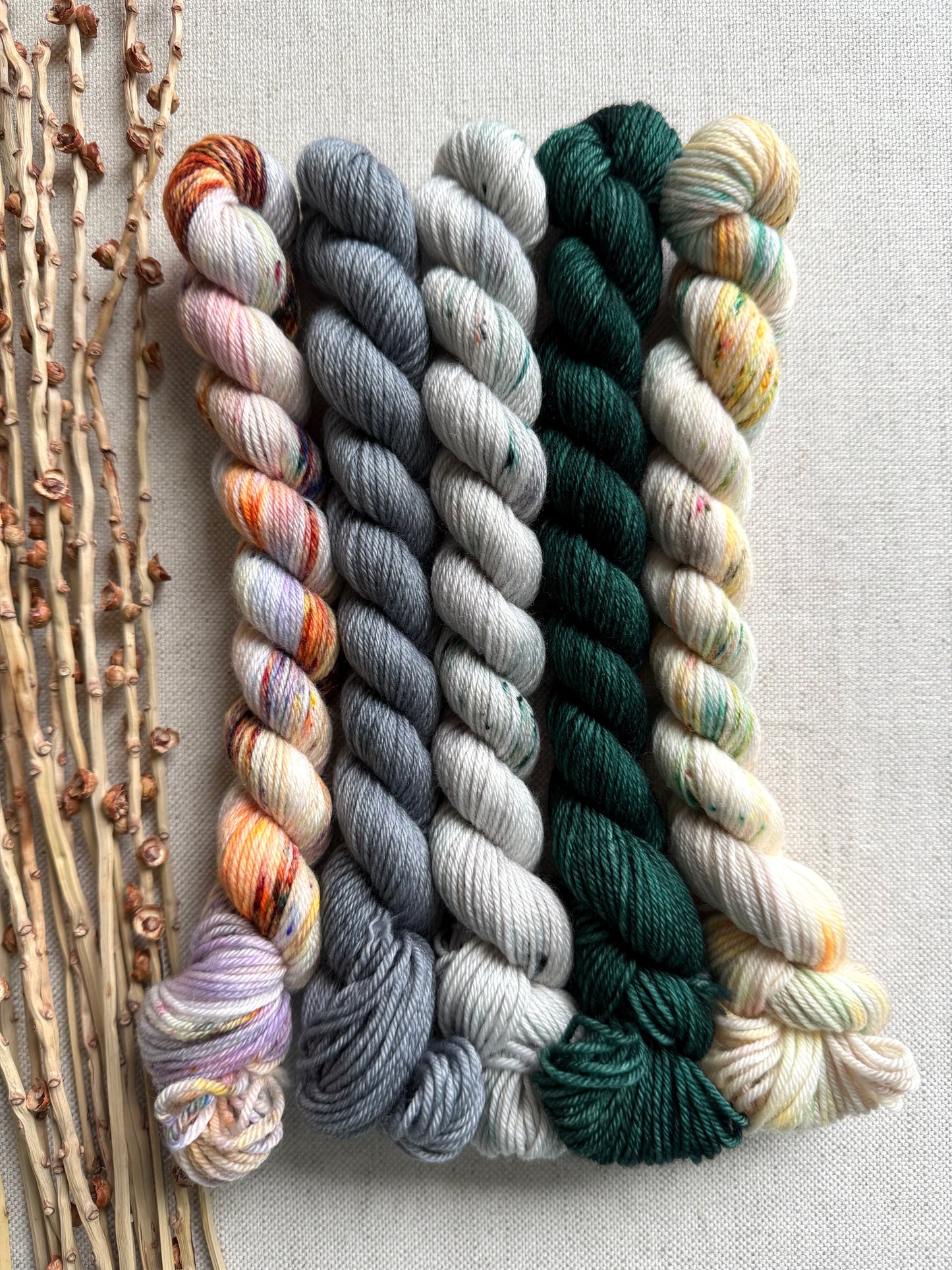The Evergreen State  - SW Merino Nylon Mini Skein Set