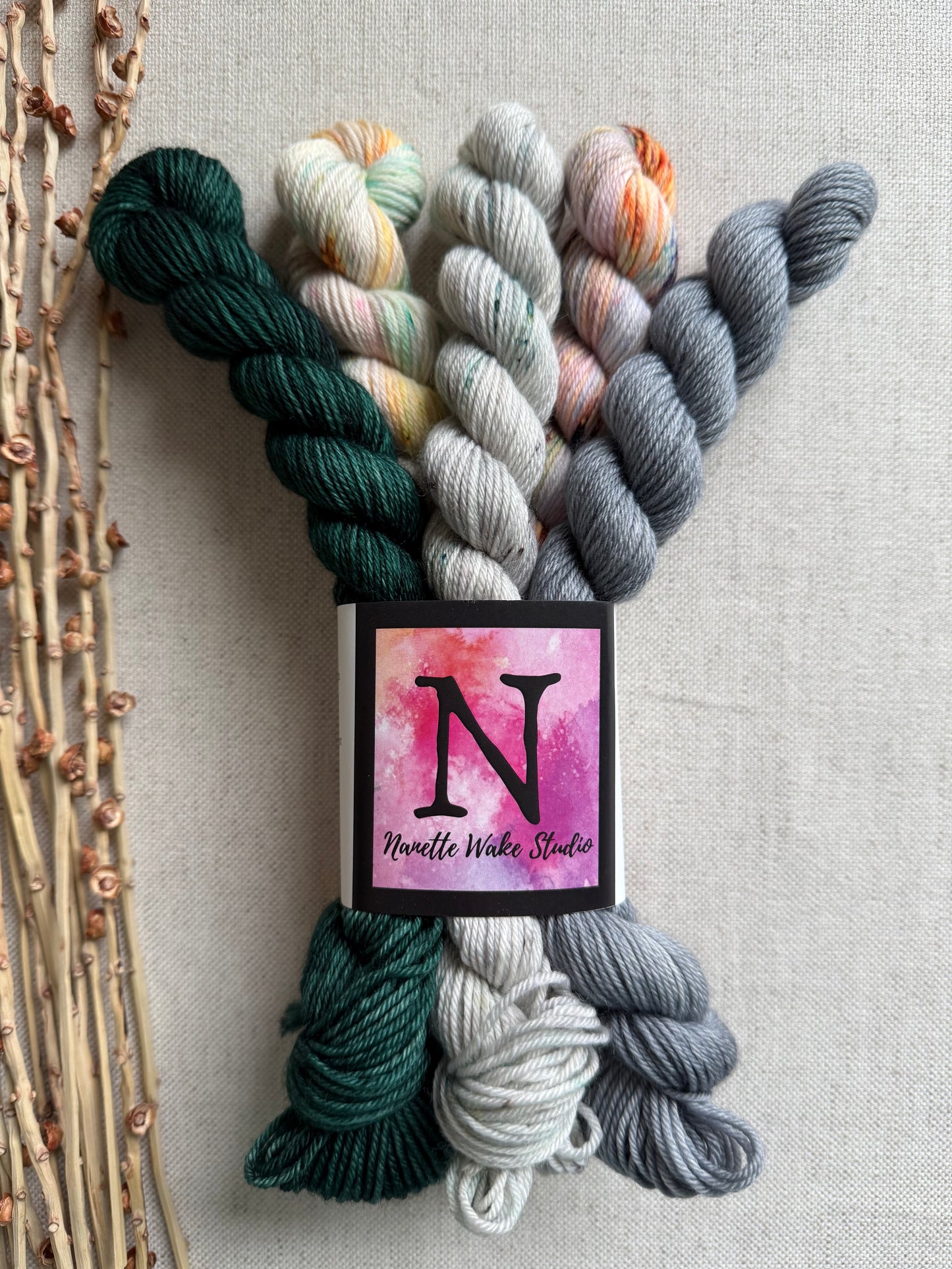 The Evergreen State  - SW Merino Nylon Mini Skein Set