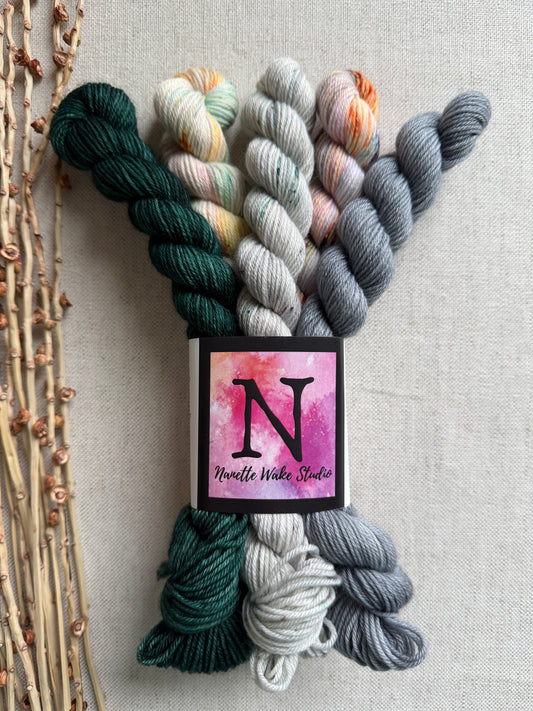 The Evergreen State  - SW Merino Nylon Mini Skein Set