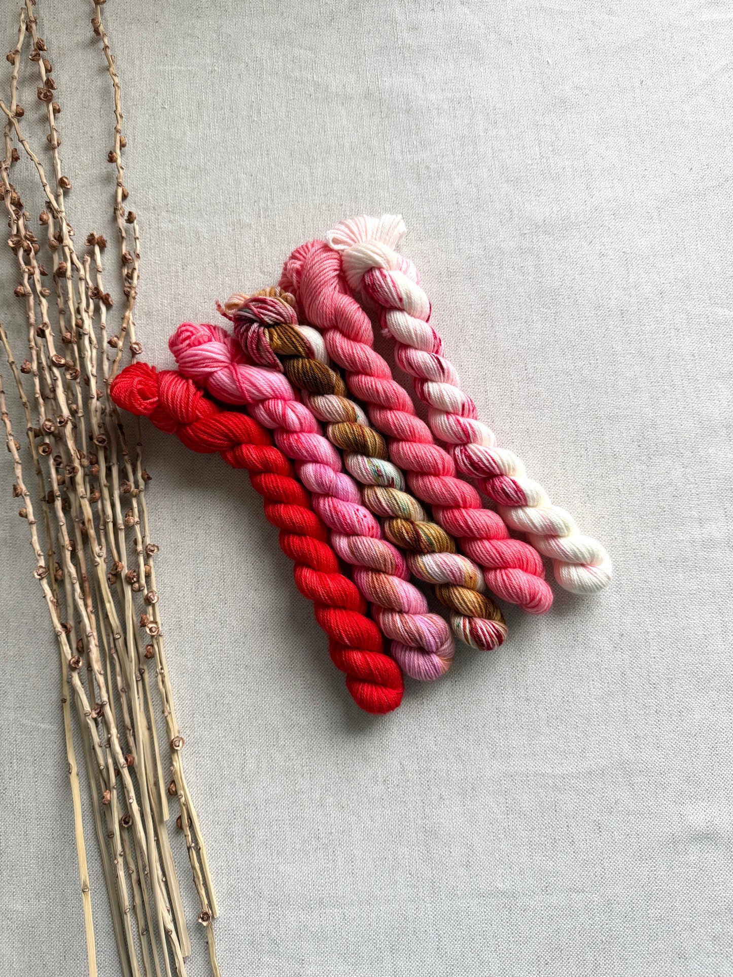 Boonwaggled  - SW Merino Nylon Mini Skein Set