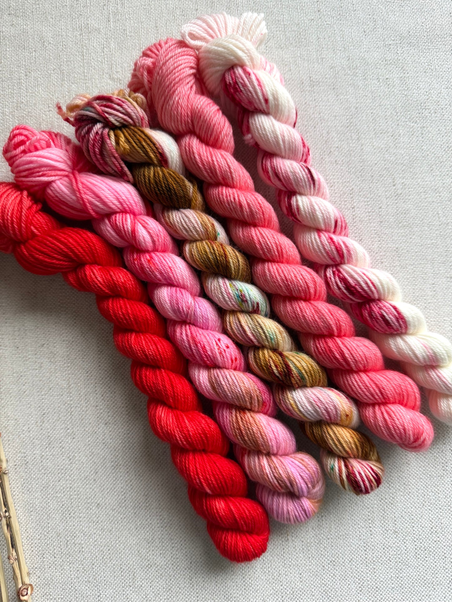 Boonwaggled  - SW Merino Nylon Mini Skein Set