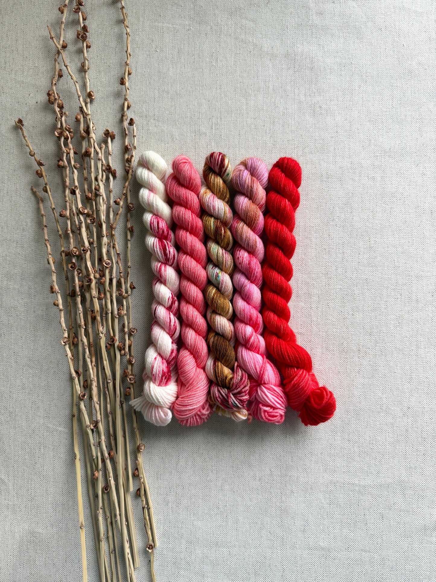 Boonwaggled  - SW Merino Nylon Mini Skein Set