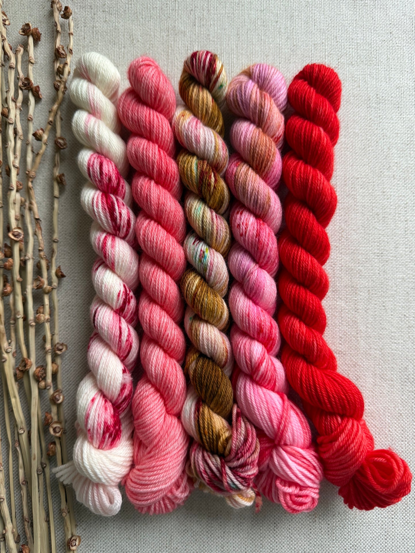 Boonwaggled  - SW Merino Nylon Mini Skein Set