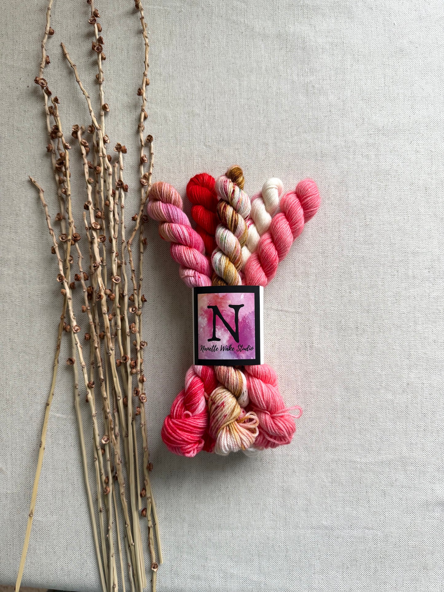 Boonwaggled  - SW Merino Nylon Mini Skein Set