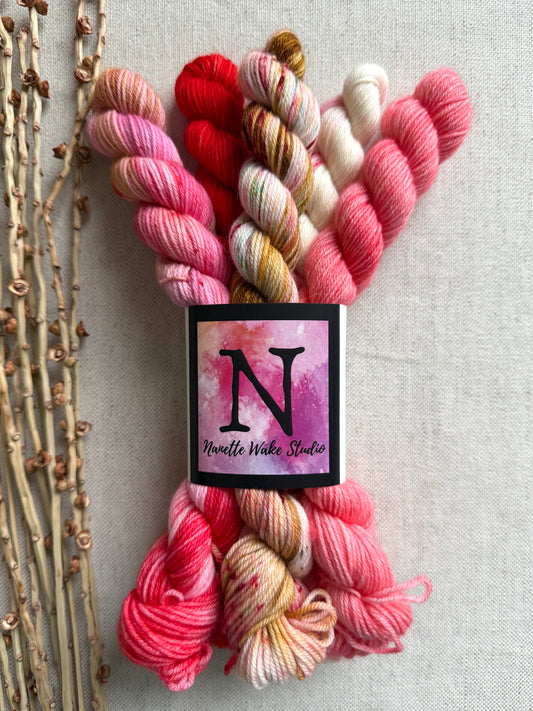 Boonwaggled  - SW Merino Nylon Mini Skein Set