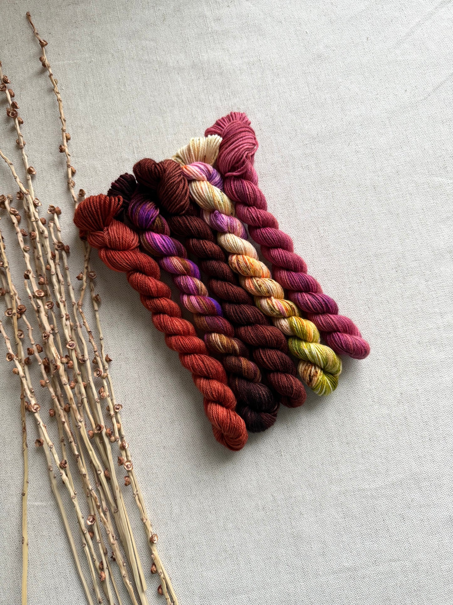 The Lollipop Guild - SW Merino Nylon Mini Skein Set