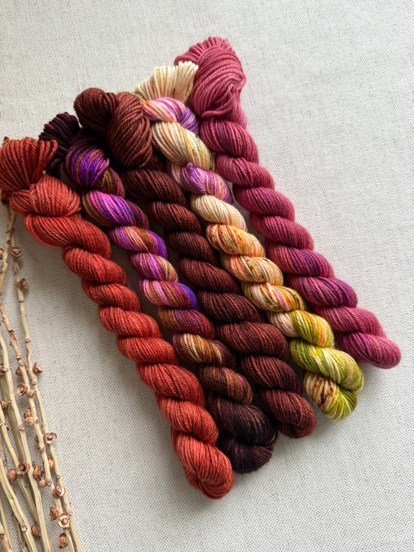 The Lollipop Guild - SW Merino Nylon Mini Skein Set