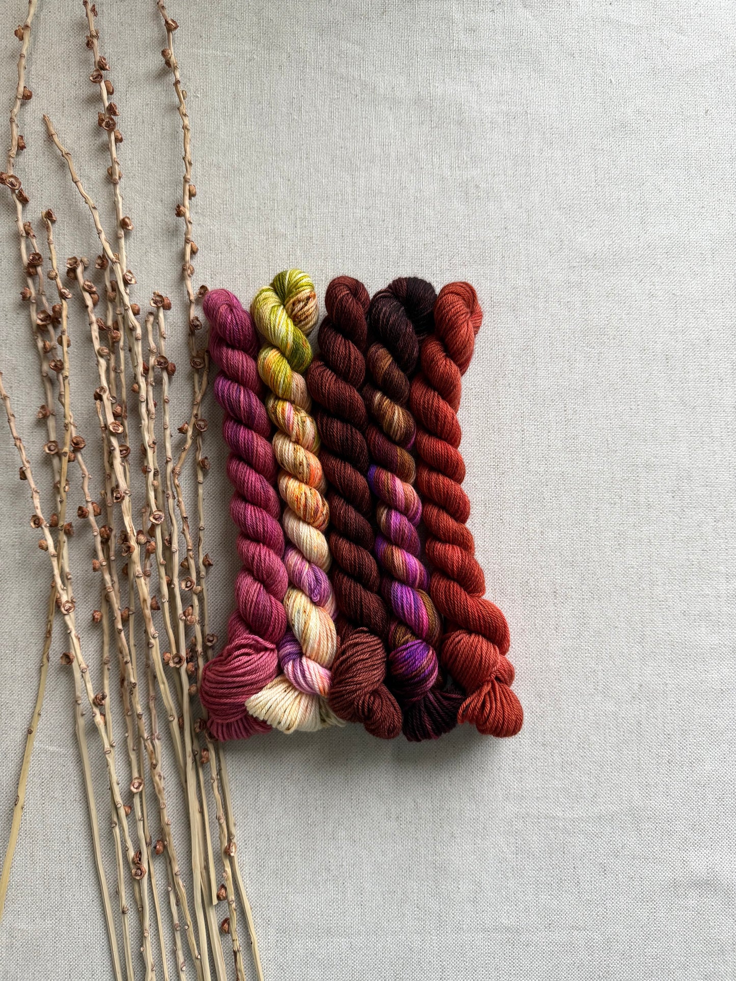 The Lollipop Guild - SW Merino Nylon Mini Skein Set
