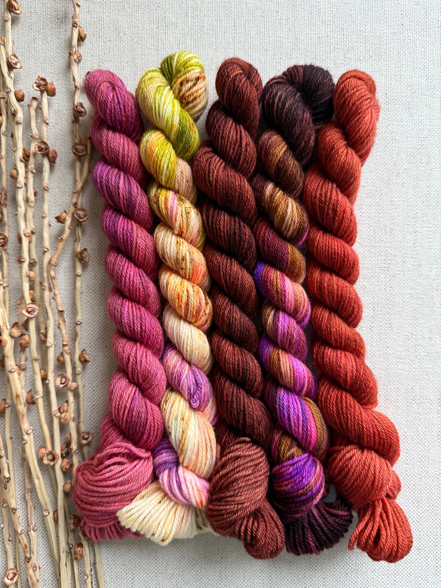The Lollipop Guild - SW Merino Nylon Mini Skein Set