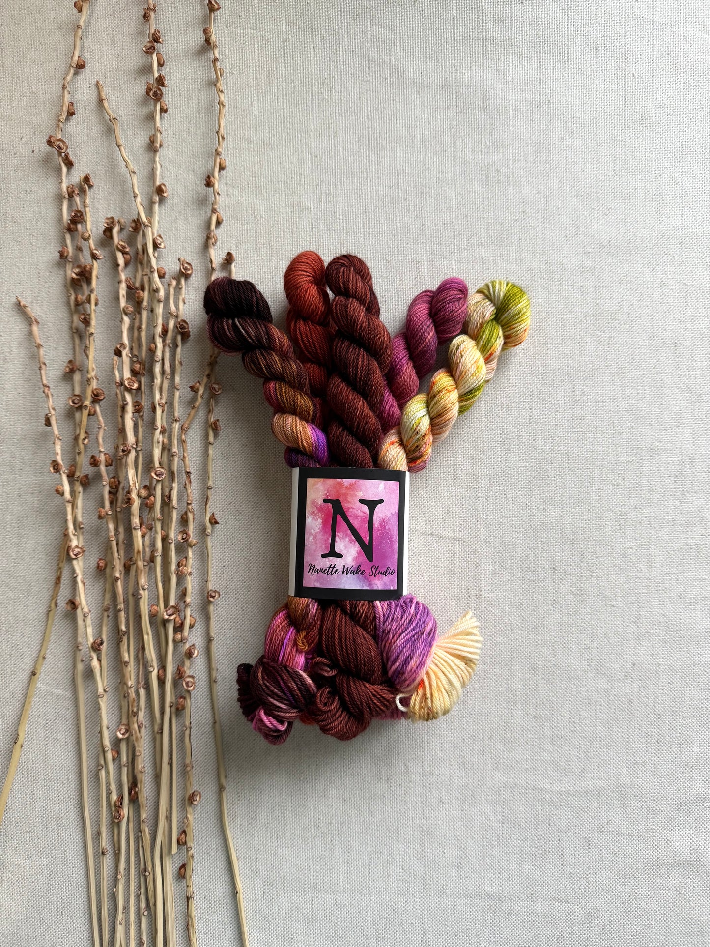 The Lollipop Guild - SW Merino Nylon Mini Skein Set