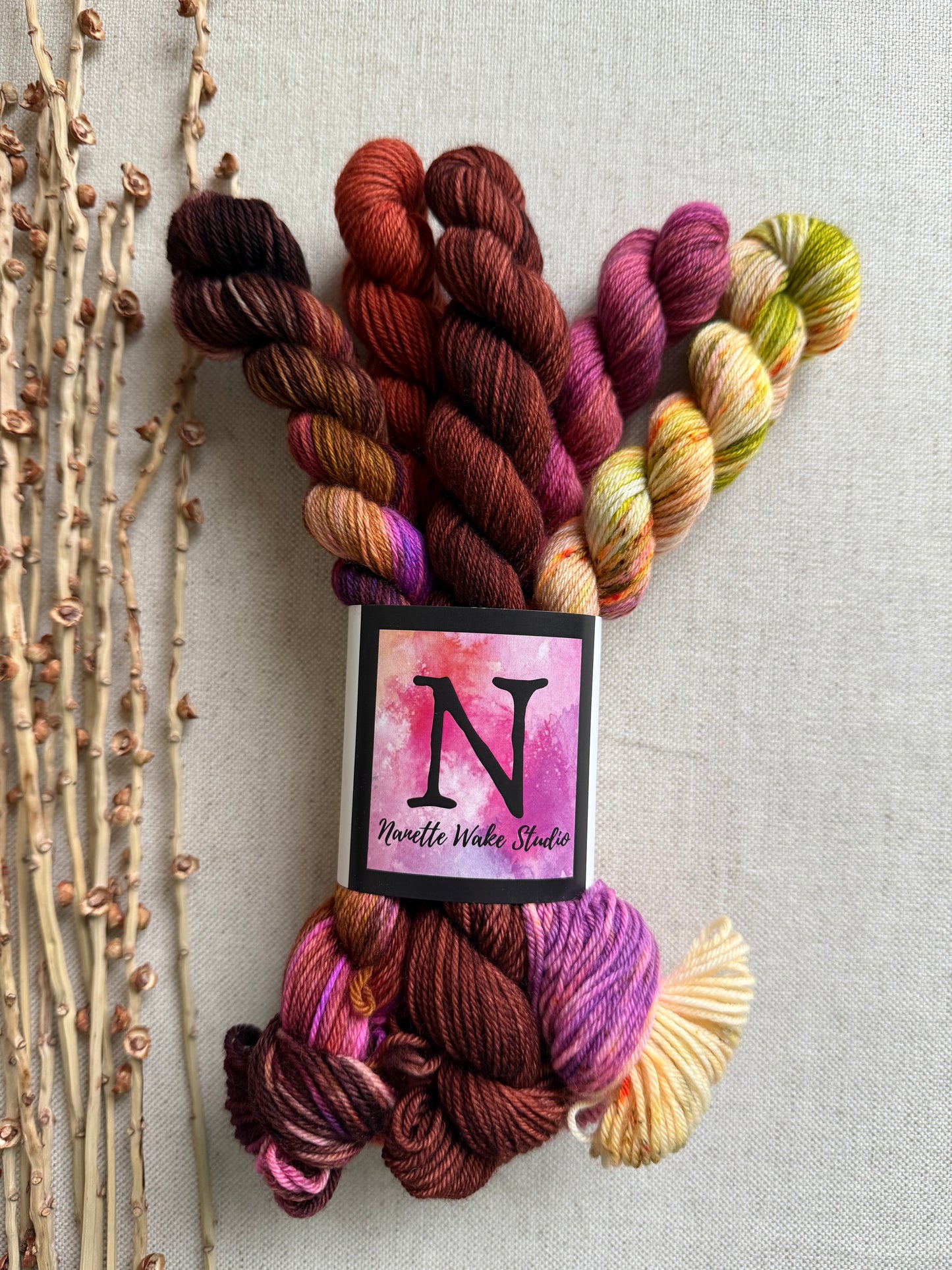 The Lollipop Guild - SW Merino Nylon Mini Skein Set