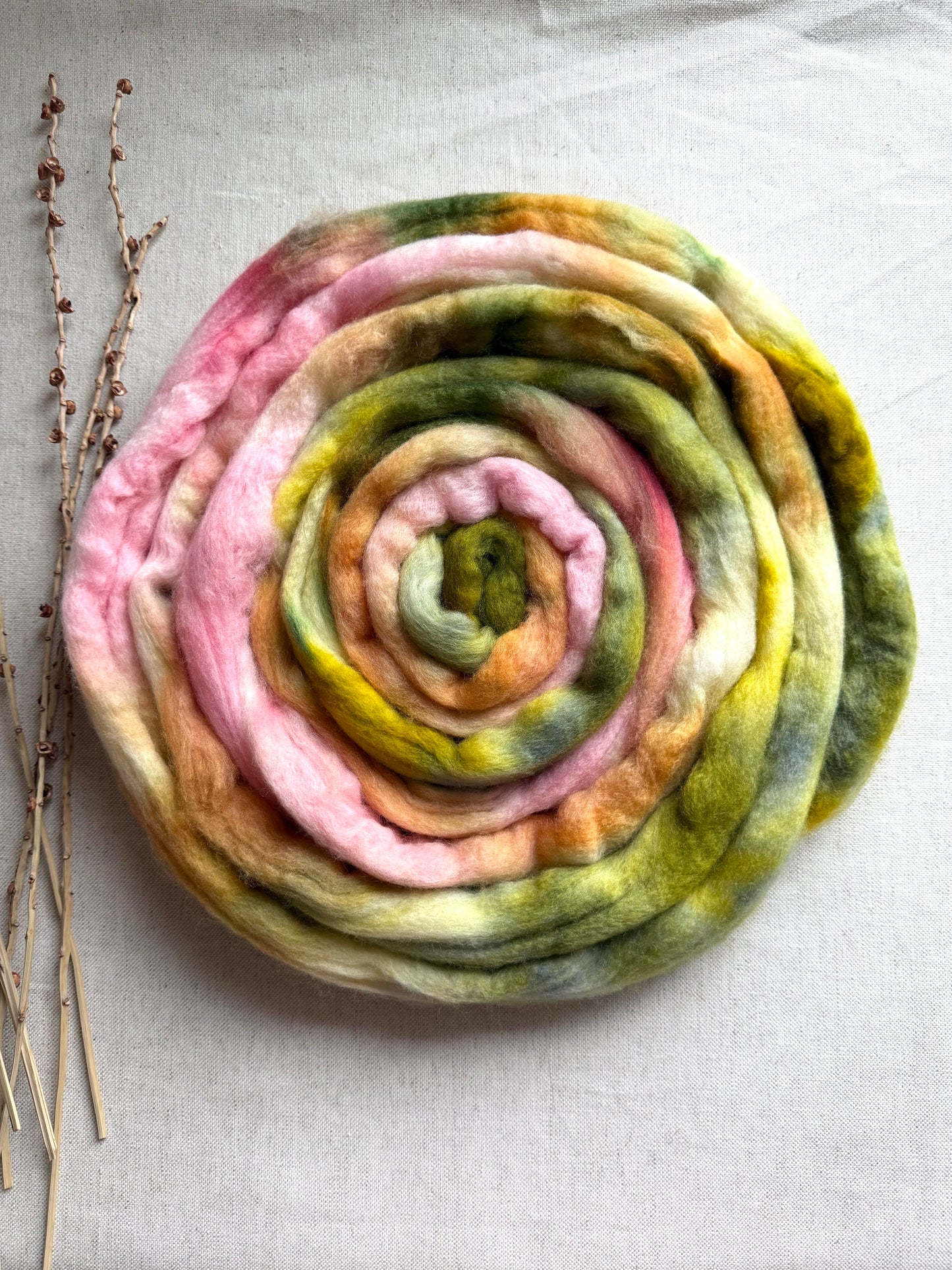 Pear Orchard Cormo Top Spinning Fiber