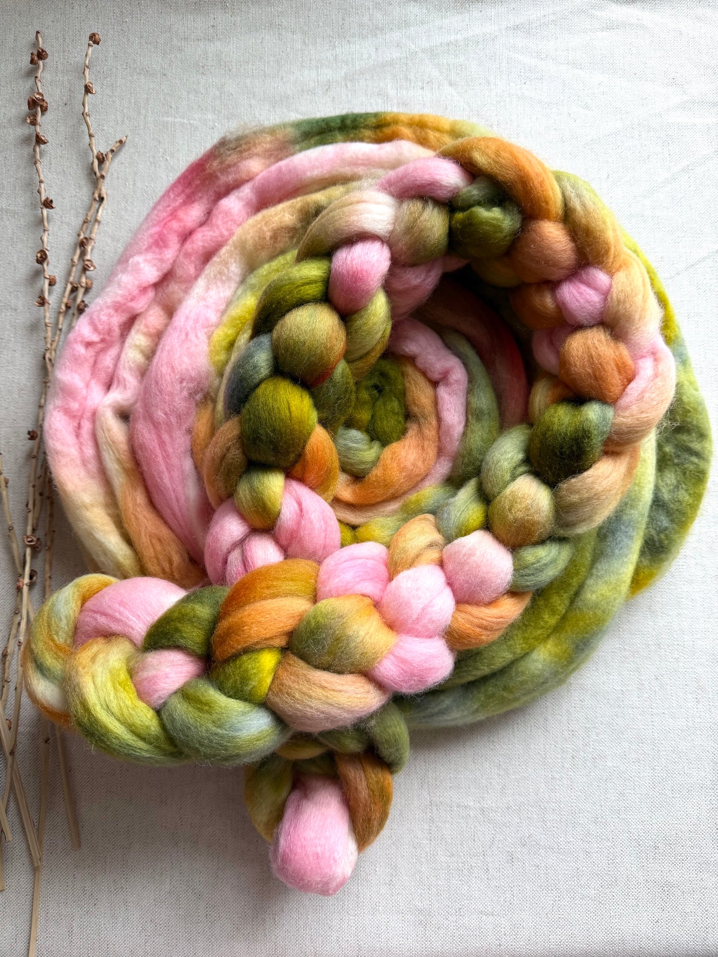 Pear Orchard Cormo Top Spinning Fiber