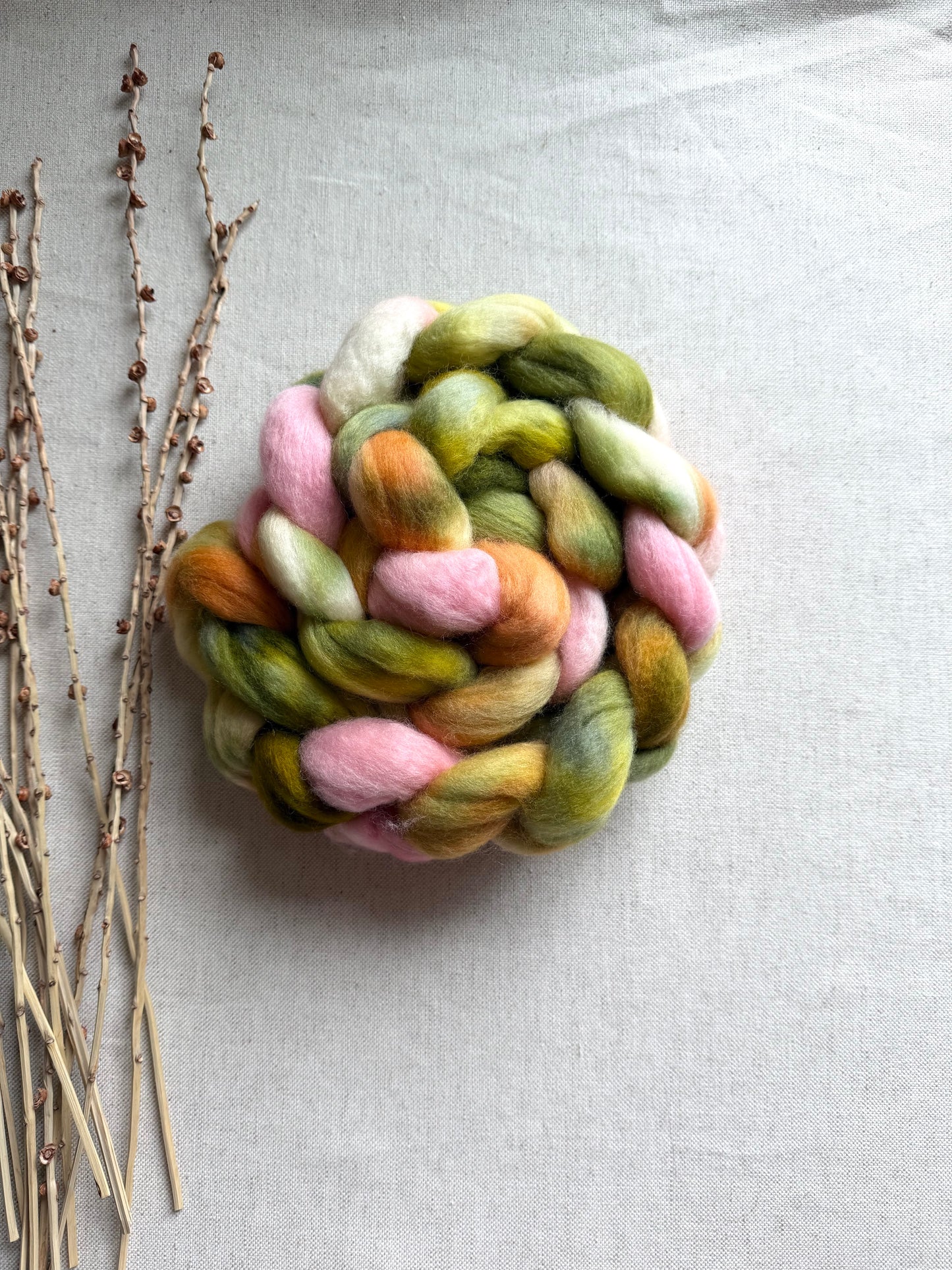 Pear Orchard Cormo Top Spinning Fiber