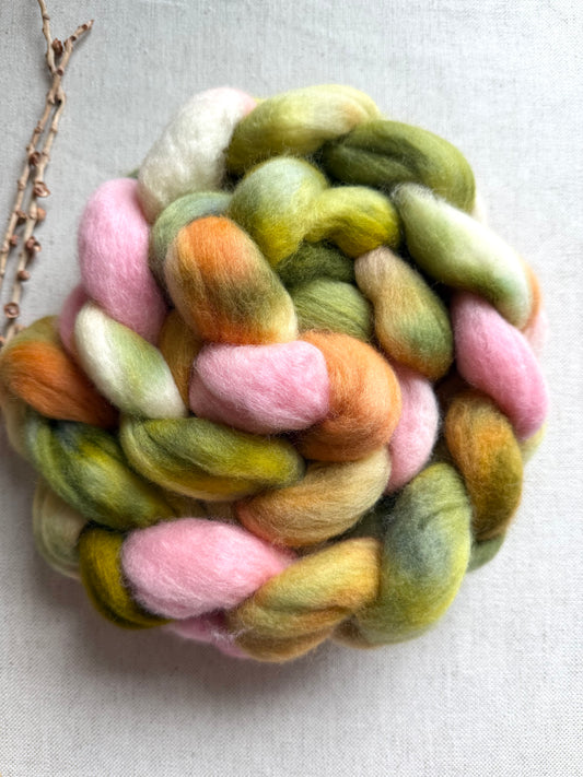 Pear Orchard Cormo Top Spinning Fiber