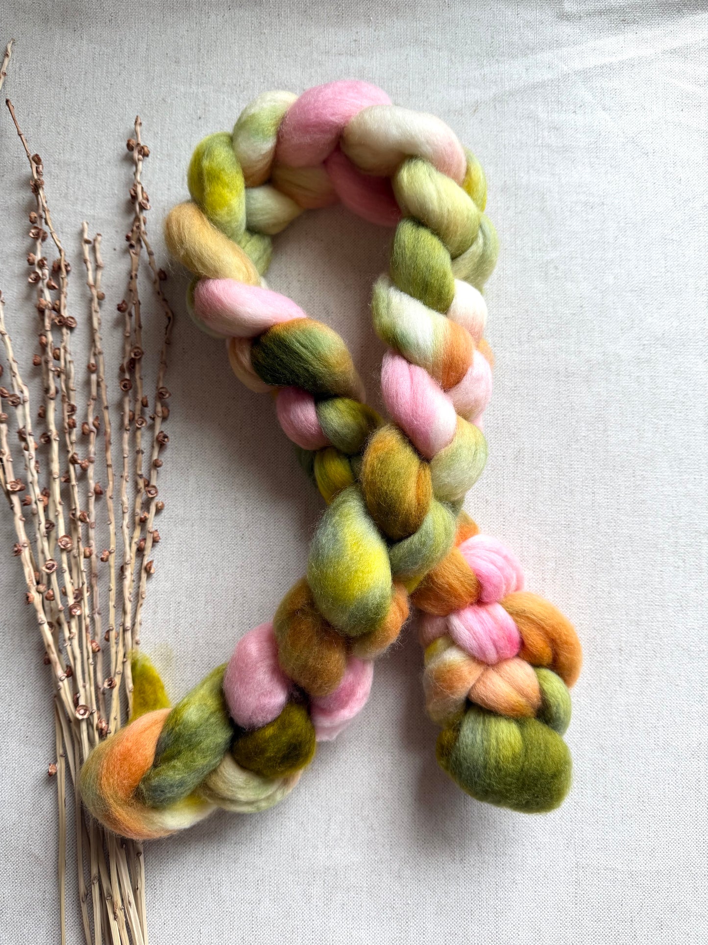 Pear Orchard Cormo Top Spinning Fiber