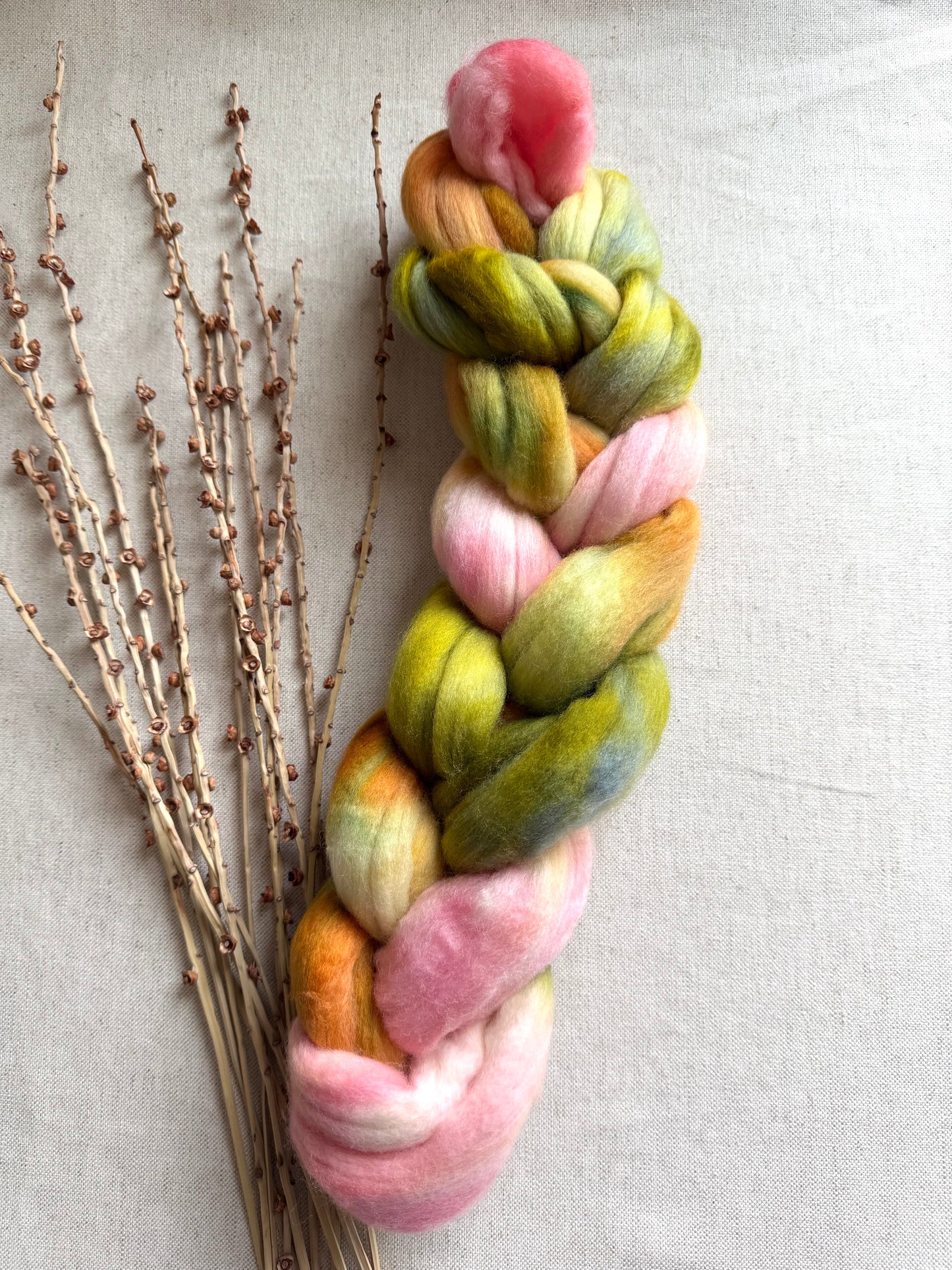 Pear Orchard Cormo Top Spinning Fiber