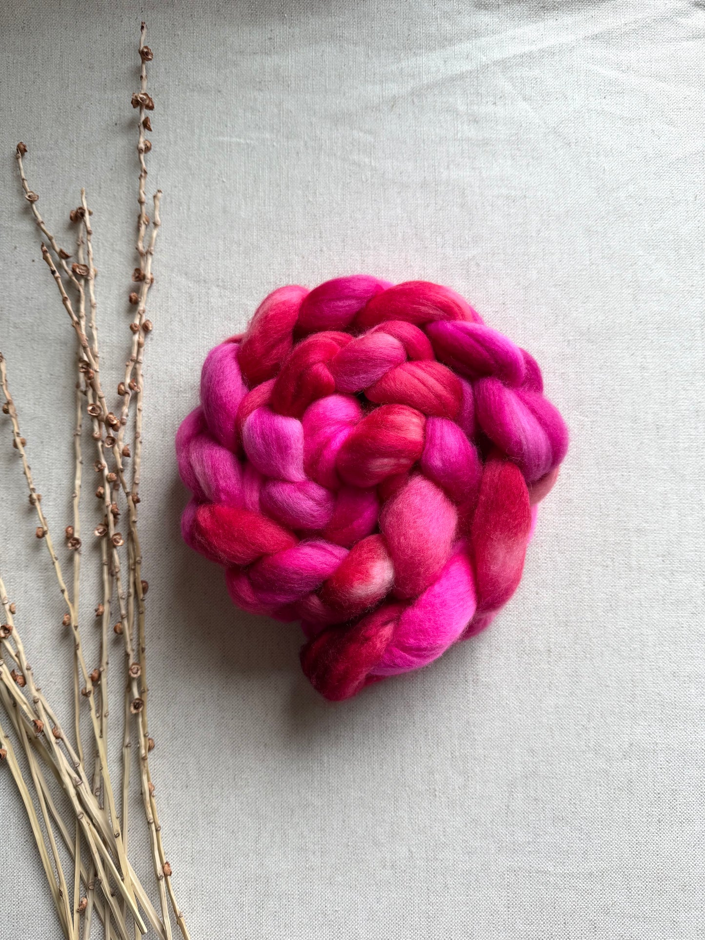 Christmas Sweater Polwarth Top Spinning Fiber