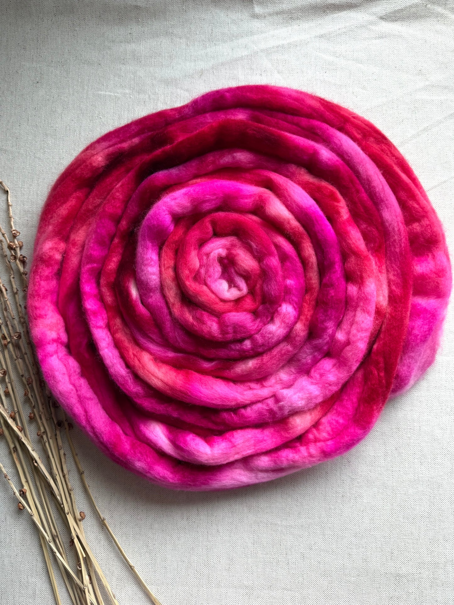 Christmas Sweater Polwarth Top Spinning Fiber