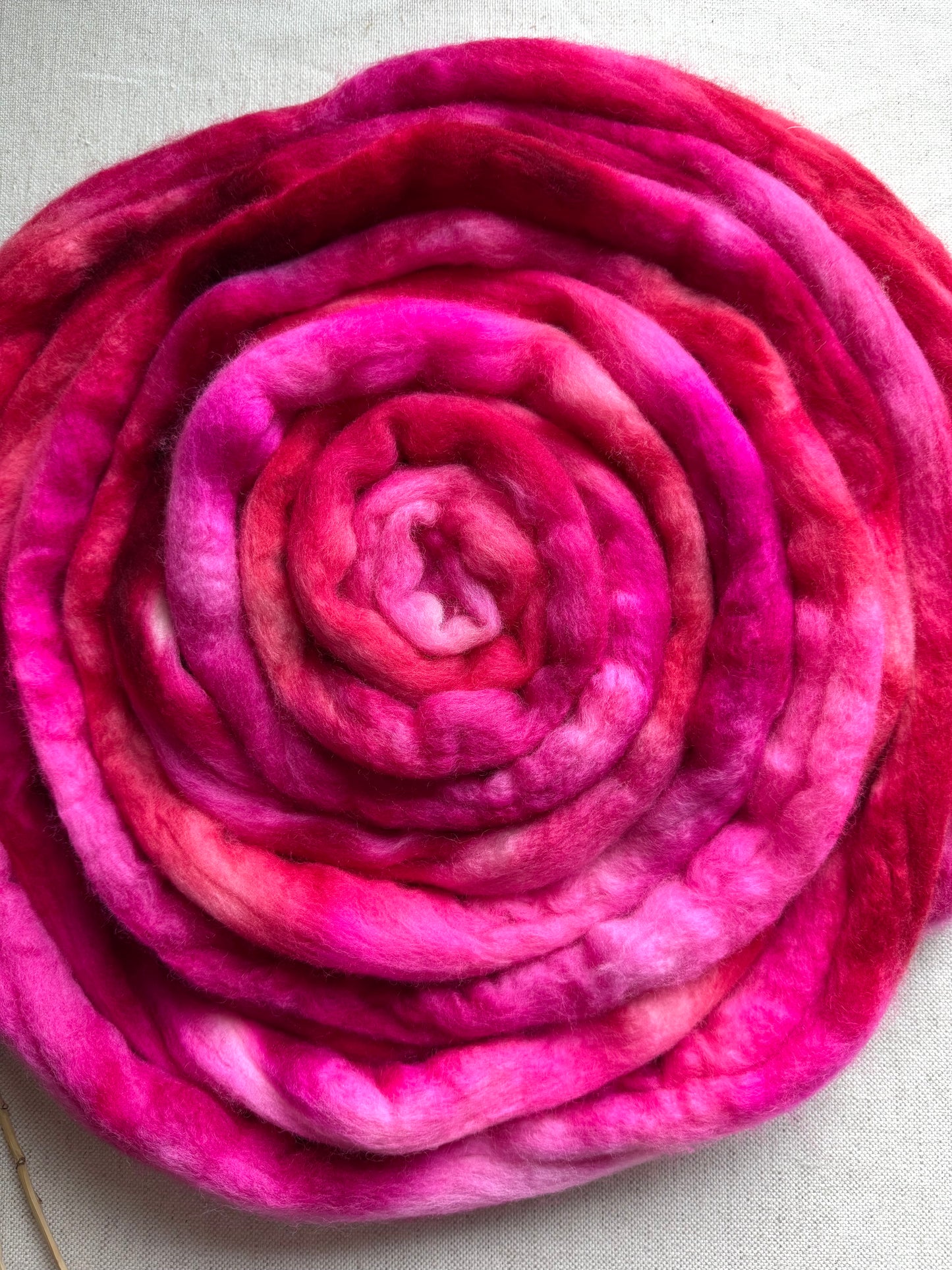 Christmas Sweater Polwarth Top Spinning Fiber